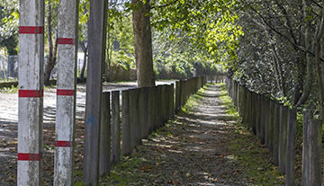 Caminho do Topo