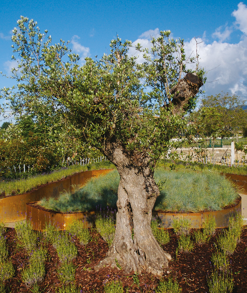 Jardim do Conhecimento