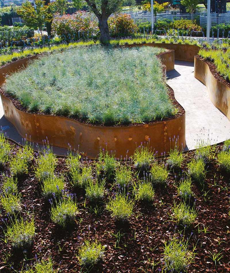 Jardim do Conhecimento