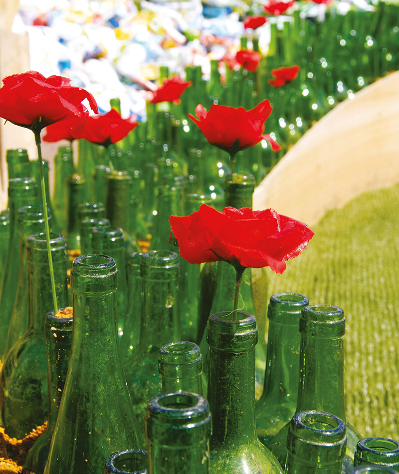 Jardim de (Con)trastes