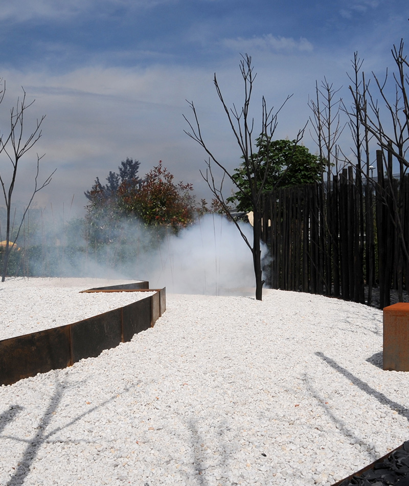 Le Feu Et 300 Arbres