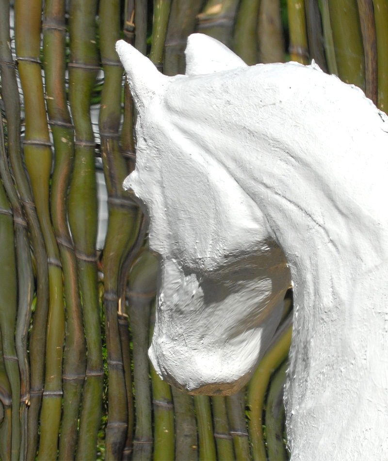 Heohippus