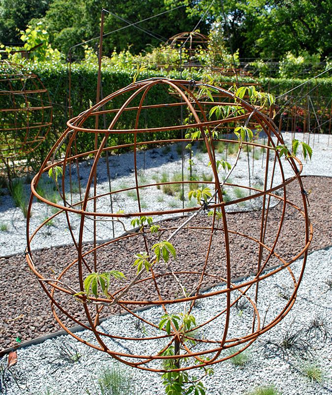 Blank Garden