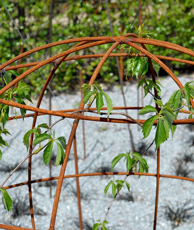 Blank Garden