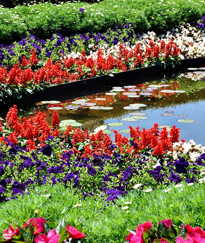Jardim Caleidoscópio