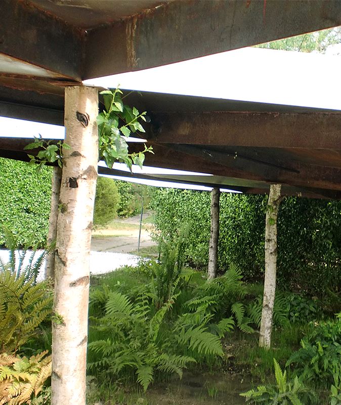 É a Floresta que Esconde a Árvore