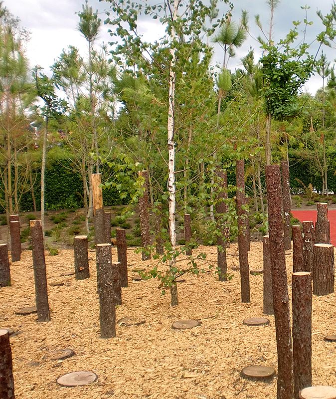 Memórias da Floresta
