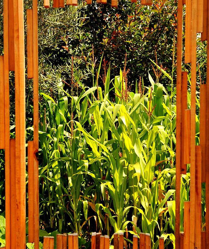 O Jardim da Abundância