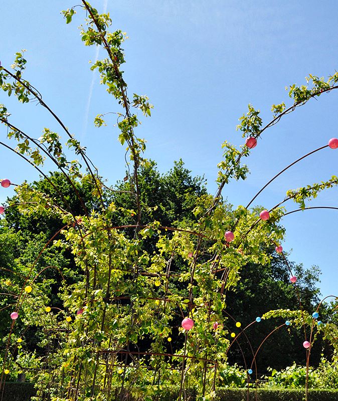 Pérgola Fogo-de-Artifício