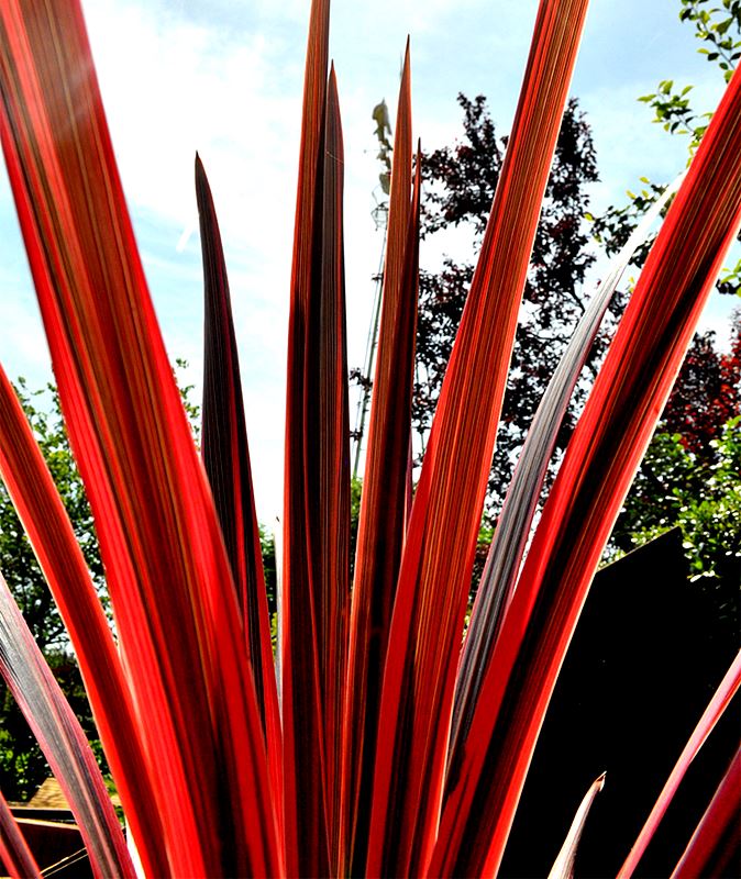 O Jardim FA D'EAU