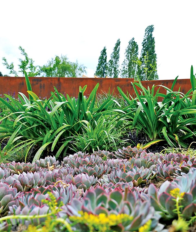 Os Números do Jardim
