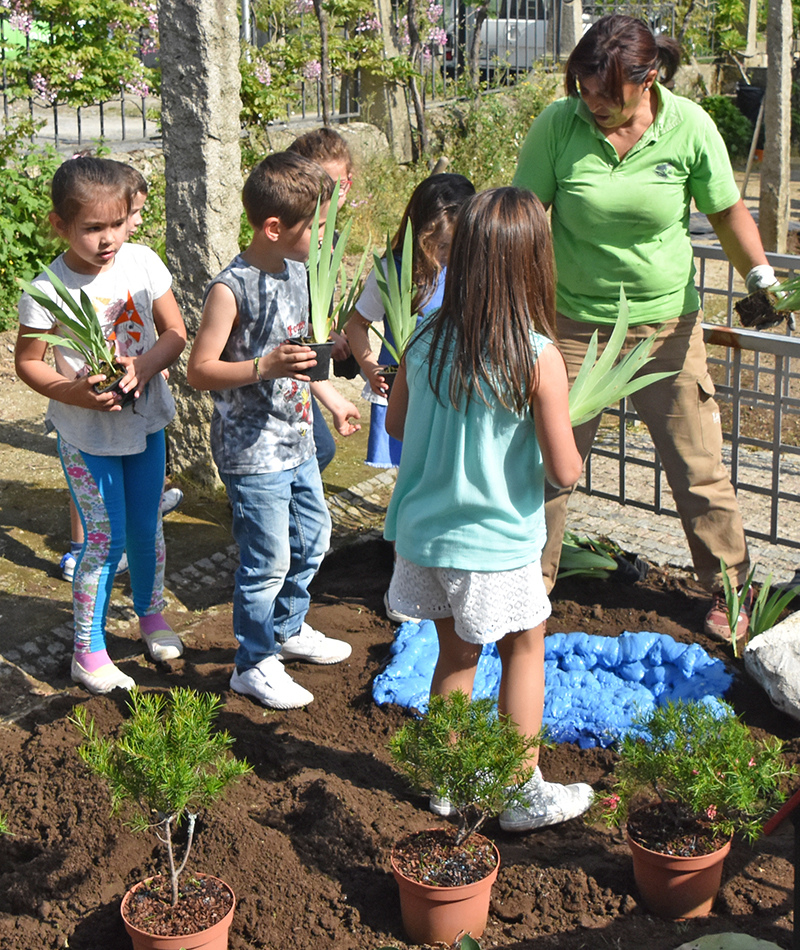 3º Festival de Jardins Escolinhas