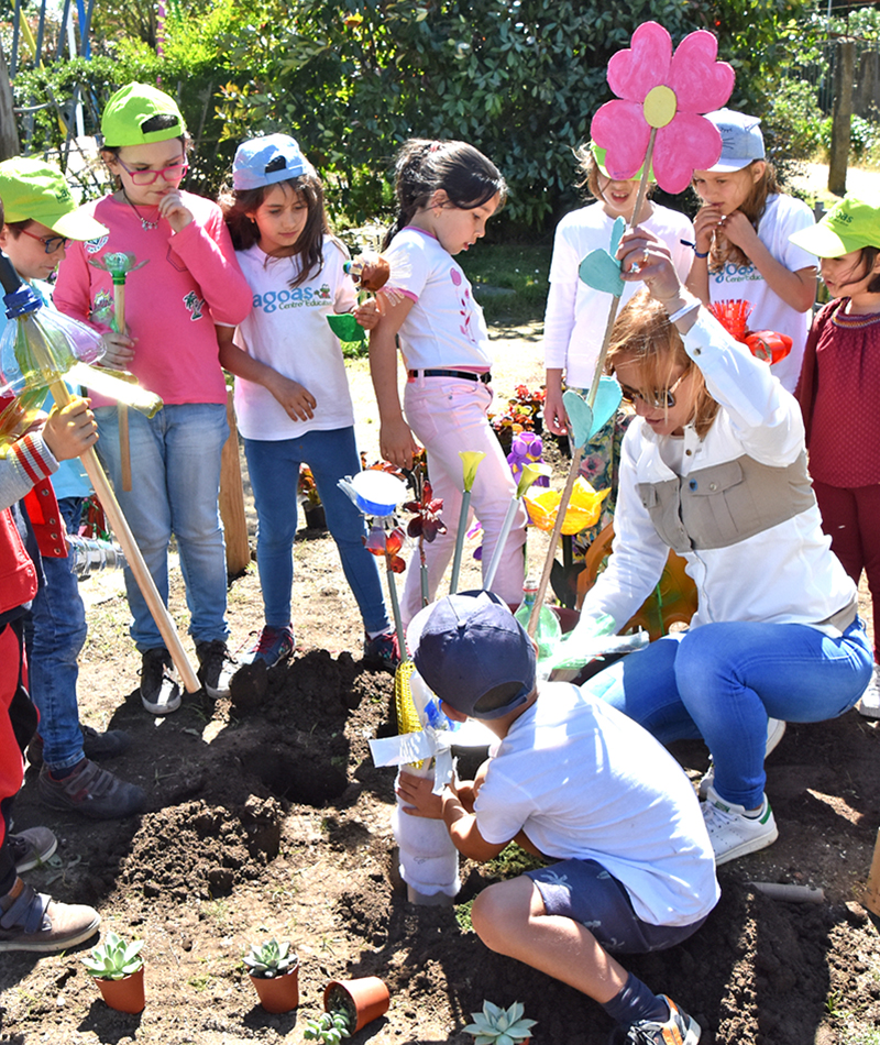 3º Festival de Jardins Escolinhas