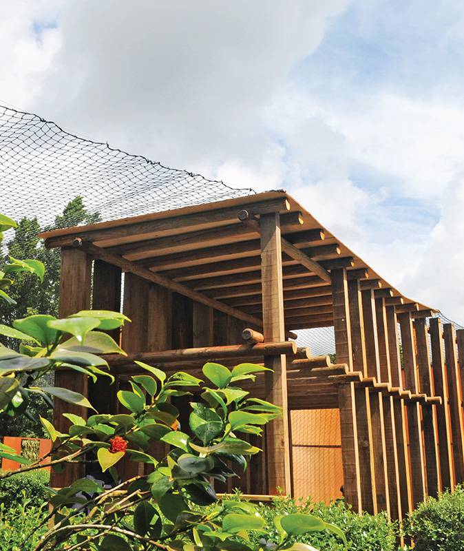 A Globalização das Plantas