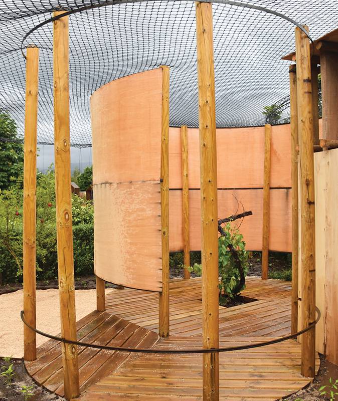 A Globalização das Plantas