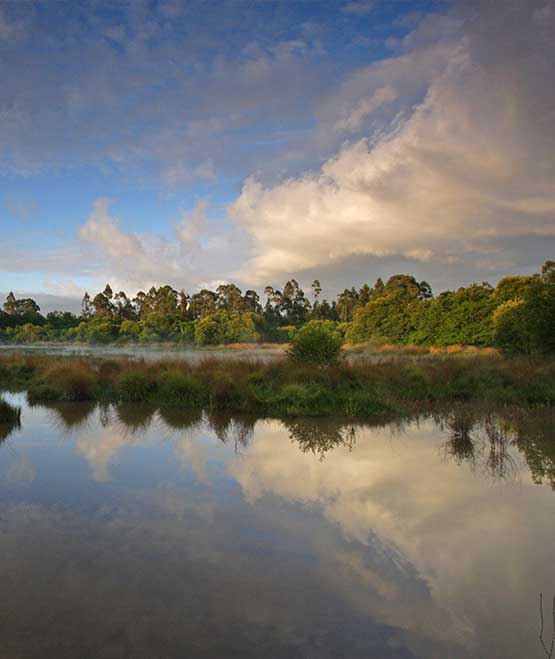 Ponte de Lima