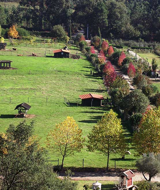 Ponte de Lima