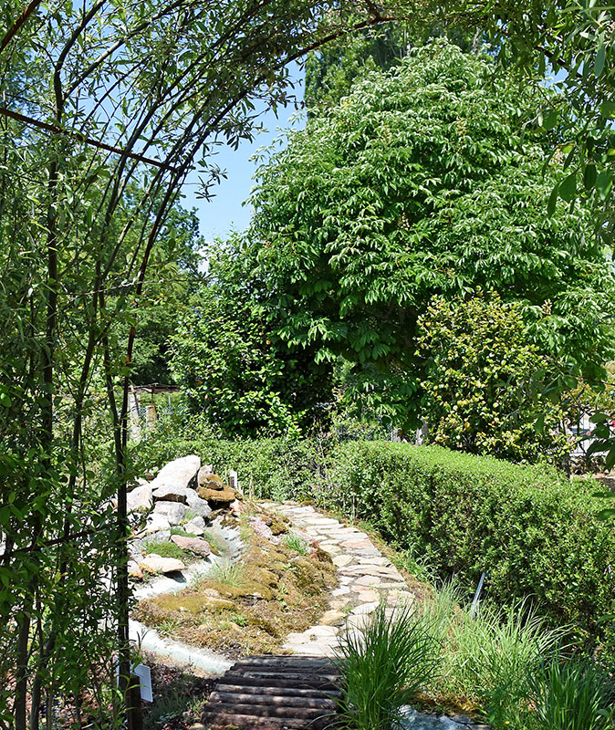 O Jardim de Microclimas