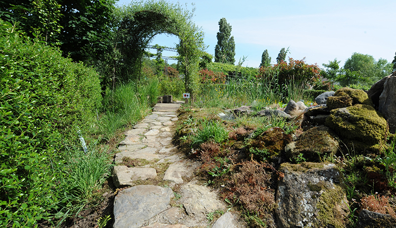 Jardim da Amizade