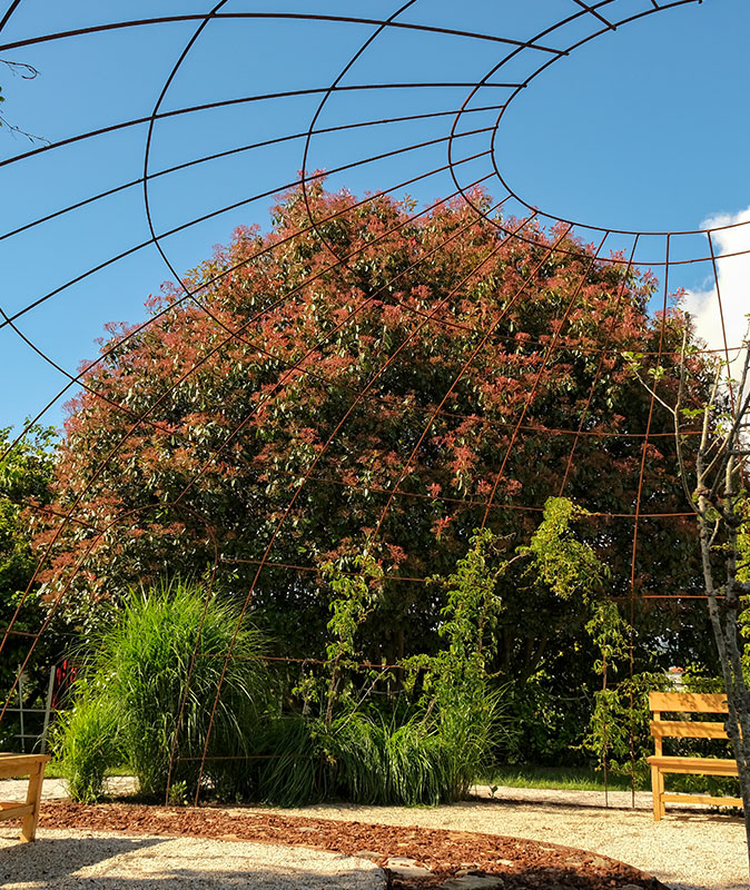 Jardim da Vida