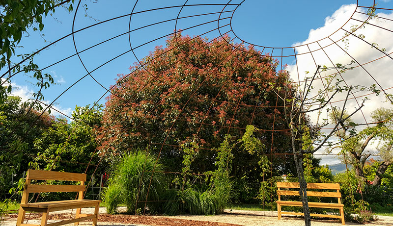 Jardim da Vida