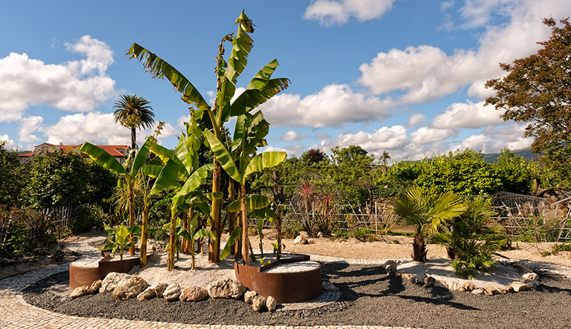 Jardim Religare