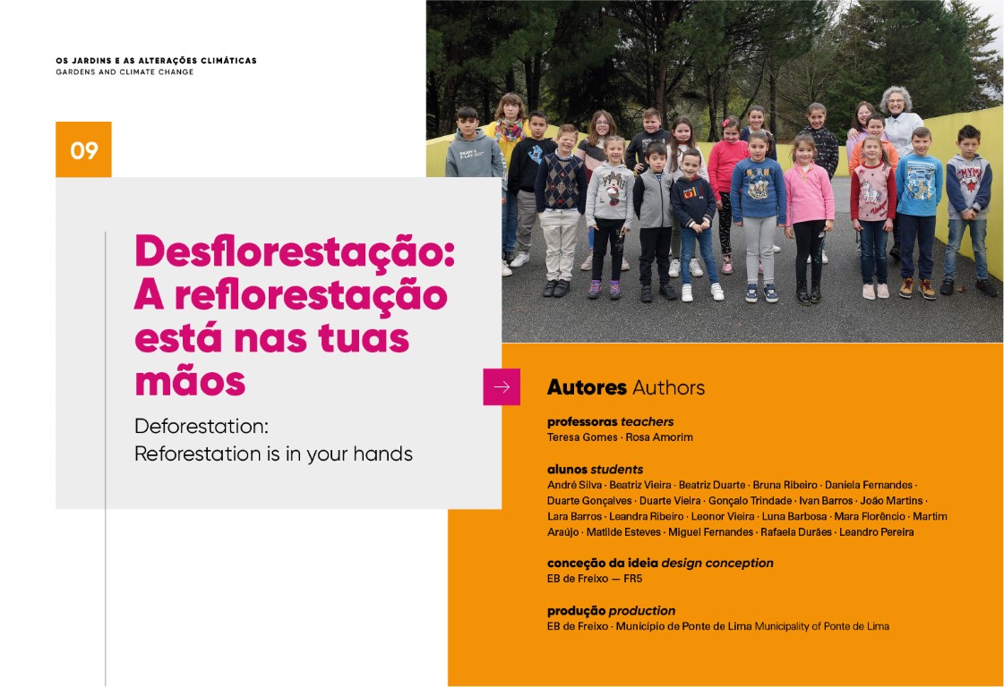 Desflorestação: A reflorestação está nas tuas mãos