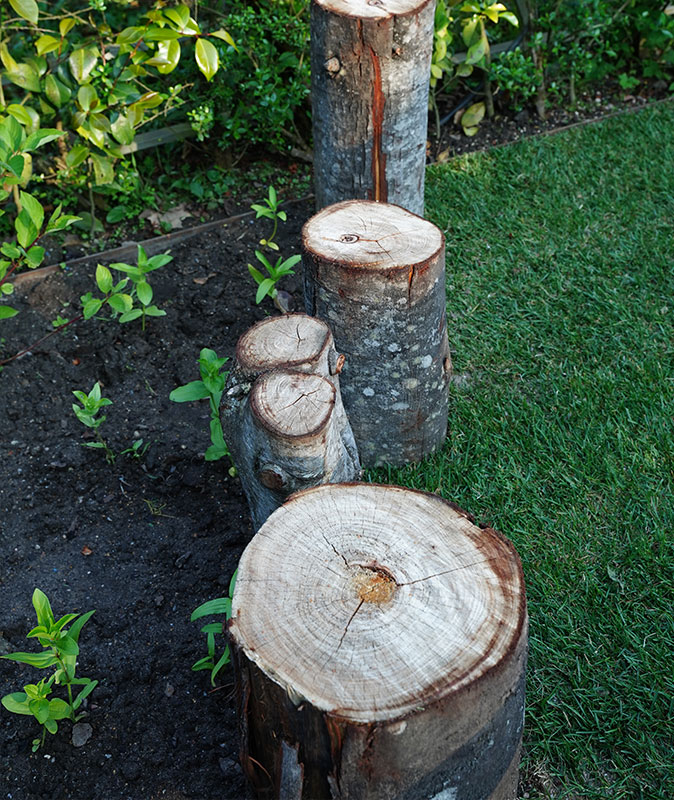 O Jardim Desmoronado