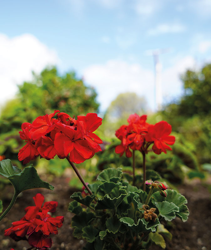 Os Nossos Jardins