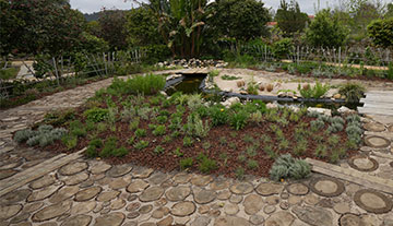 Cartasis Garden