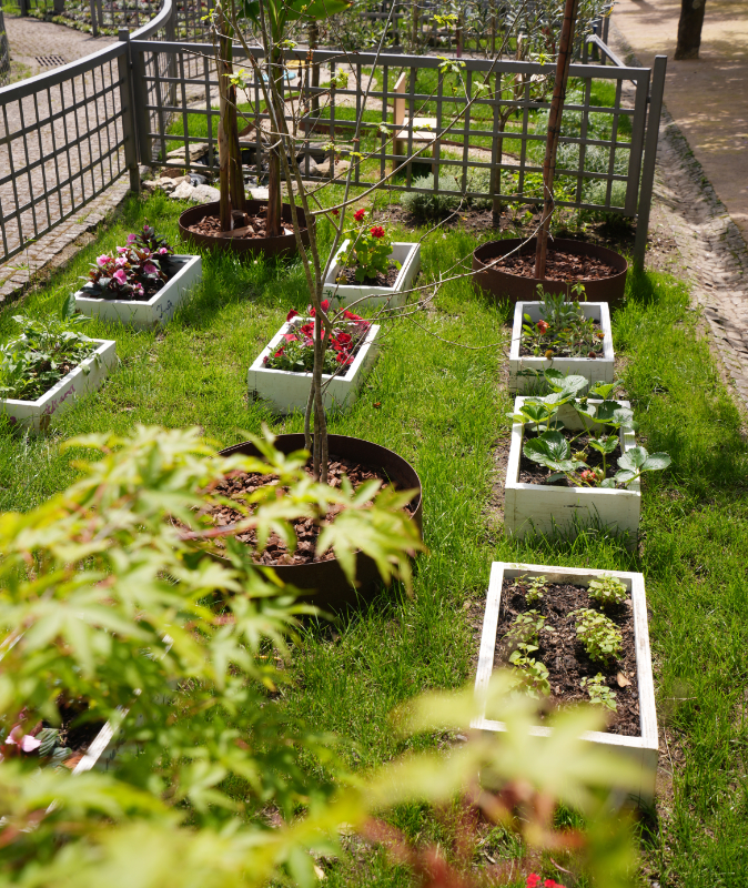 Jardim da Diversidade