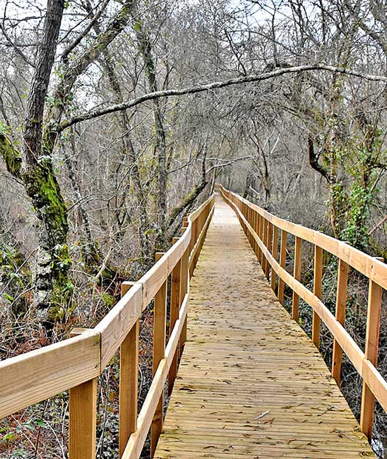 Ponte de Lima